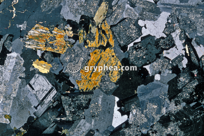 Granite altéré LPA x3 - gryphea.org